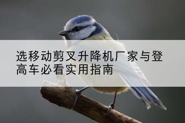 无极电动升降机厂家-选移动剪叉升降机厂家与登高车必看实用指南