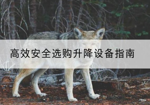 无极升降货梯厂家推荐-*安全选购升降设备指南